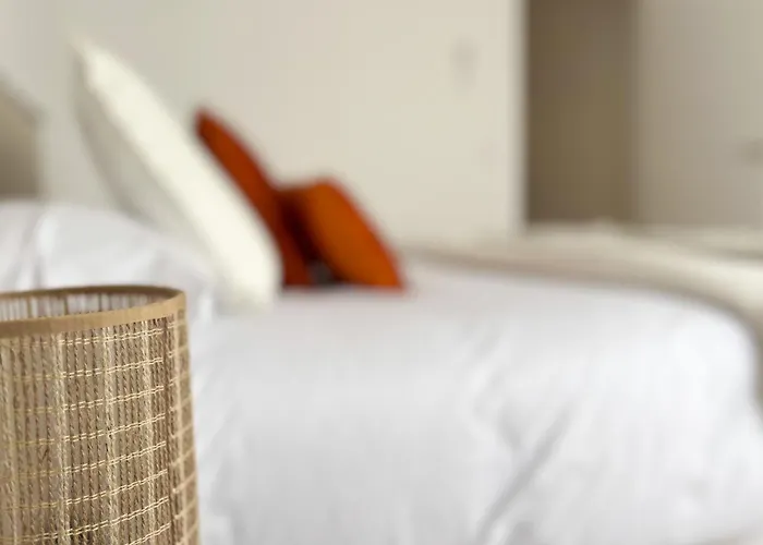 Tayp San Marcos 101 *